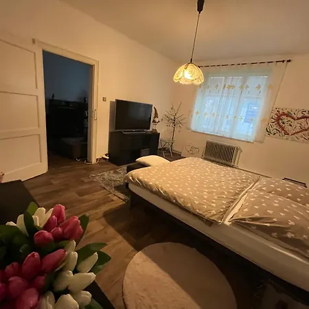 Tennis Life Apartment *